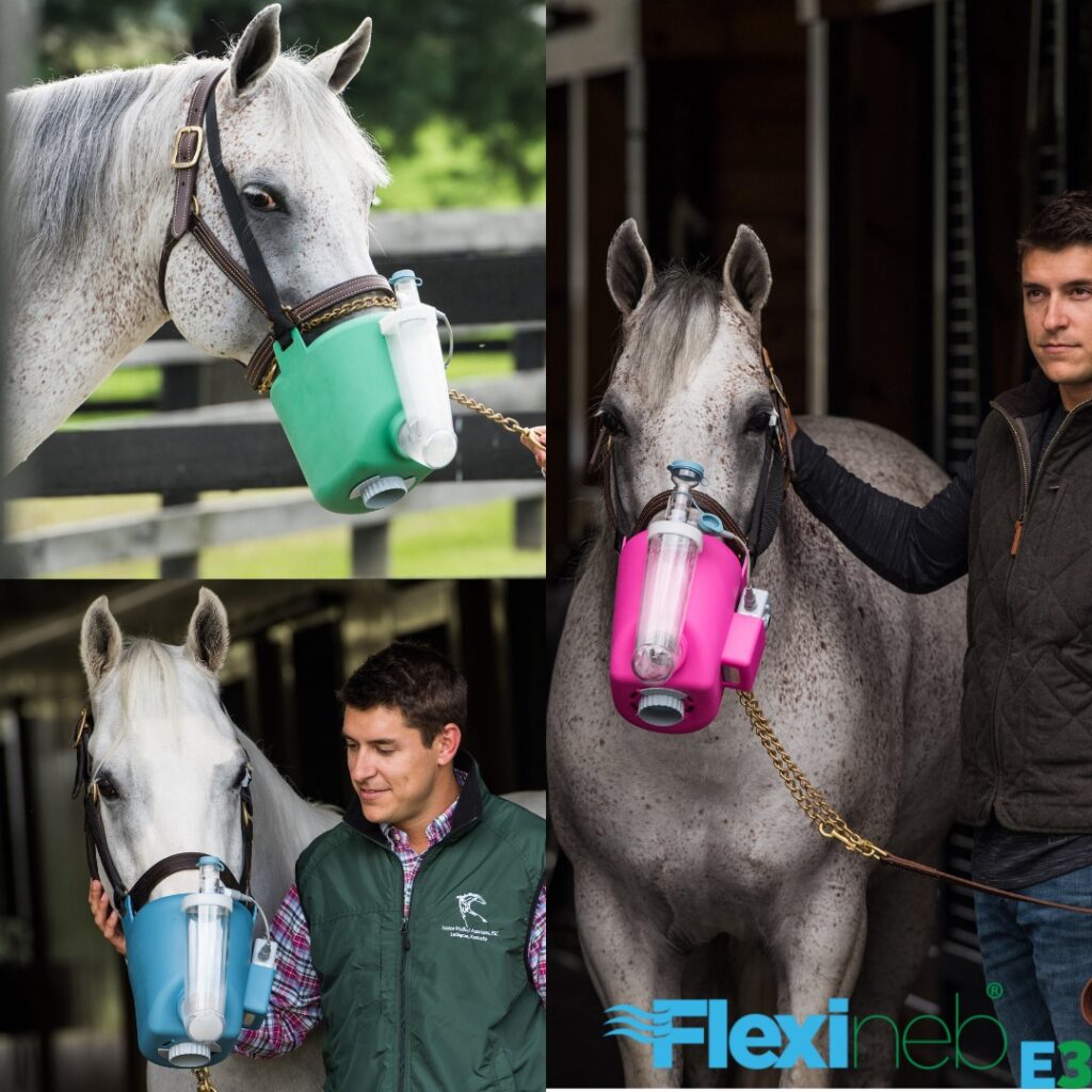 FLEXINEB - NEBULIZATORY DLA KONI Flexineb® E3 kompletny system