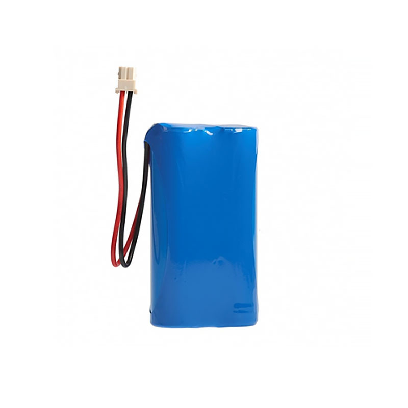 Nebulizator dla koni