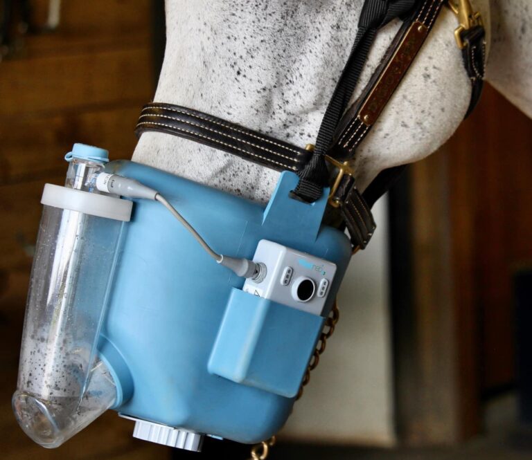 Jaka jest różnica między inhalacją, a nebulizacją?  Od podstaw do szczegółów!