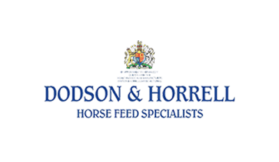 4. Logo strona kopia