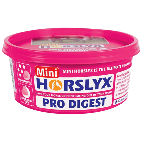 Lizawka dla konia Horslyx PRO DIGEST