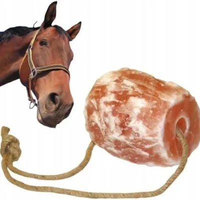 Lizawka dla konia - sól himalajska dla konia