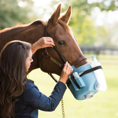 Flexineb® E3 nebulizator dla konia z maską małą - kompletny zestaw
