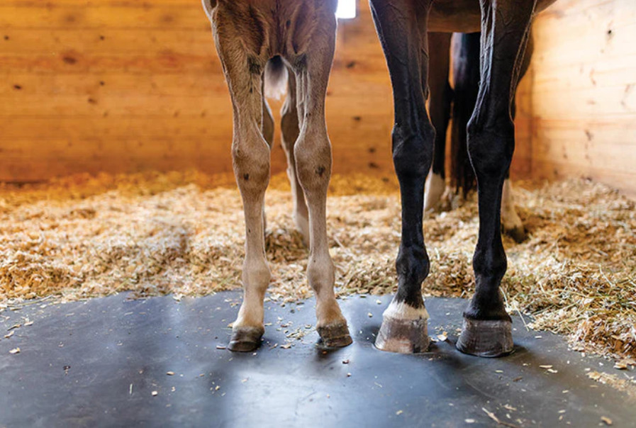 Haygain Comfort STALL ortopedyczna mata dla koni, mata stajenna do boksu na układ oddechowy