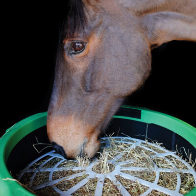 Haygain paśnik dla koni Forager Slow Feeder