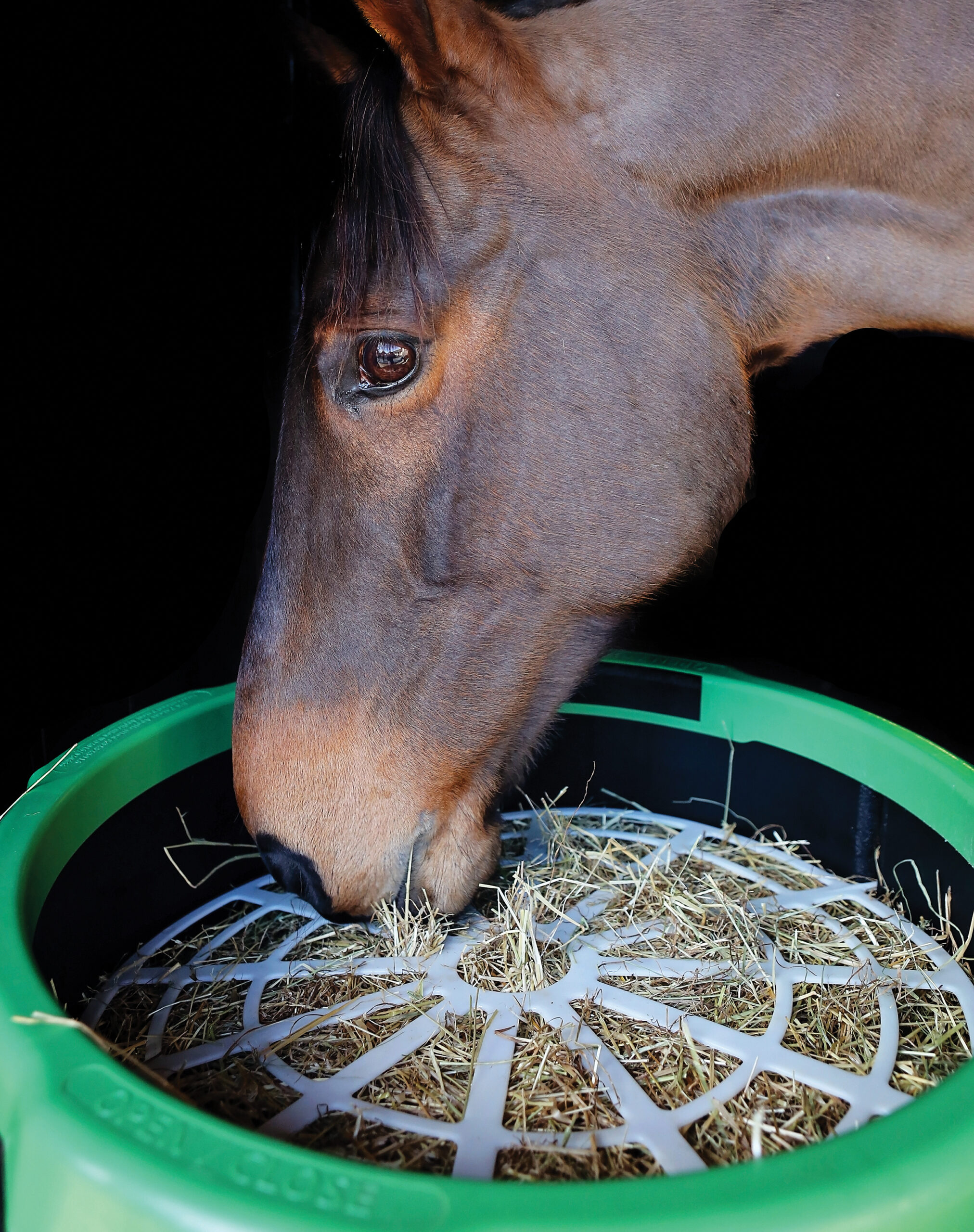 Haygain paśnik dla koni Forager Slow Feeder