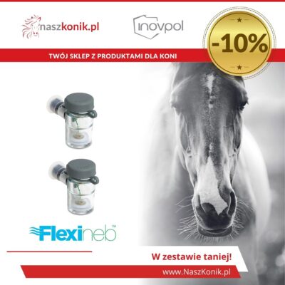 Zestaw dwa pojemniki Flexineb (dwa standardowe szare)