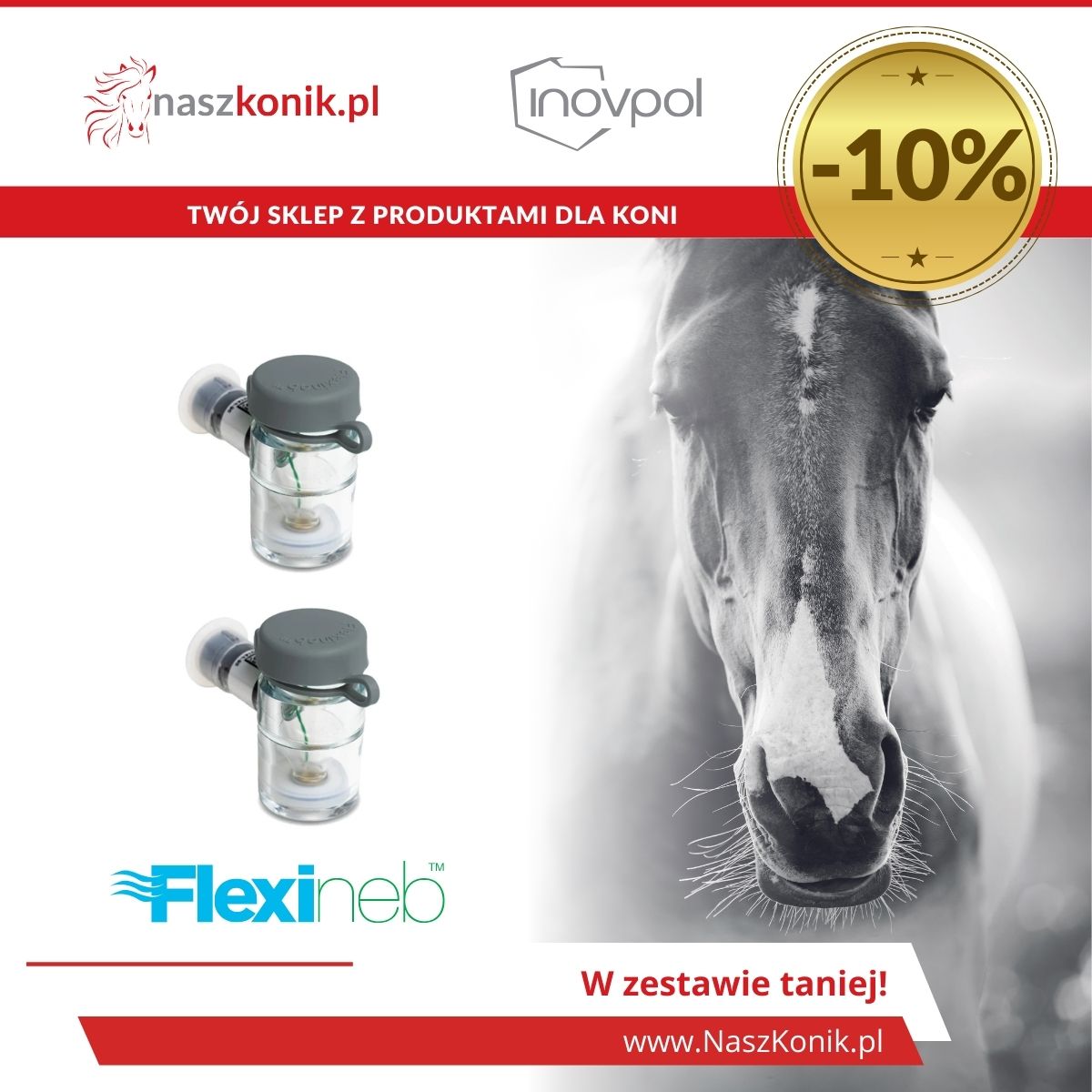 Zestaw dwa pojemniki Flexineb (dwa standardowe szare)